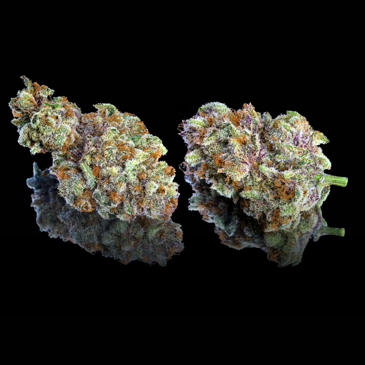 ZuZu Berry Pre-Roll 5-Pack [2.5g] - Maven Genetics -  - $21.61 - Pre-Rolls