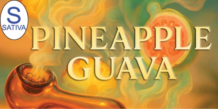 $5.40 Pineapple Guava .5g Joint - Mecca -  - $3.76 - Pre-Rolls