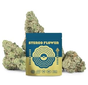 7G WHITE STRAWBERRY - Stereo Flower -  - $37.50 - Flowers