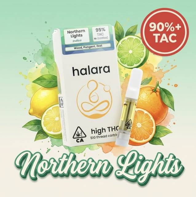 Halara: Northern Lights