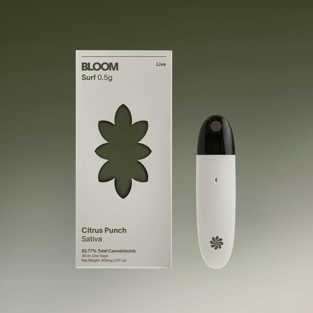 BLOOM — Citrus Punch