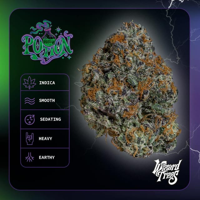 WIZARD TREES — Potion