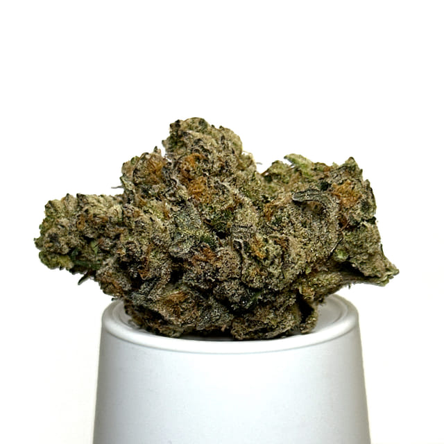 Green Earth Co. — Gas Face