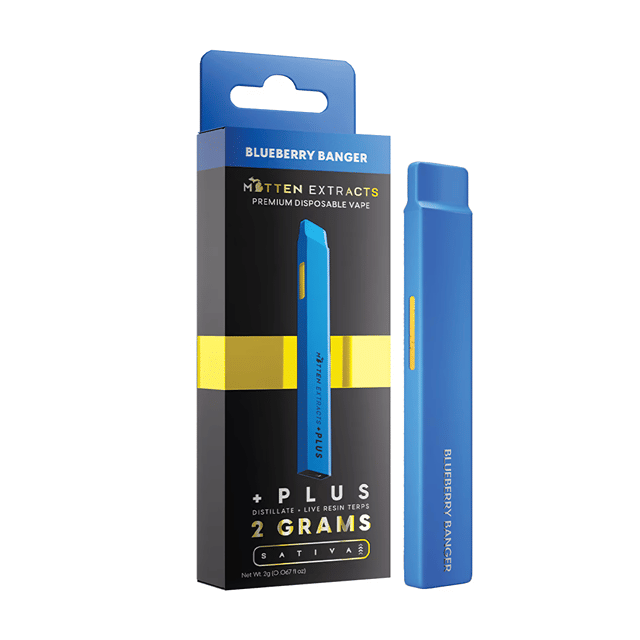 +Plus Disposable 2g - Blueberry Banger
