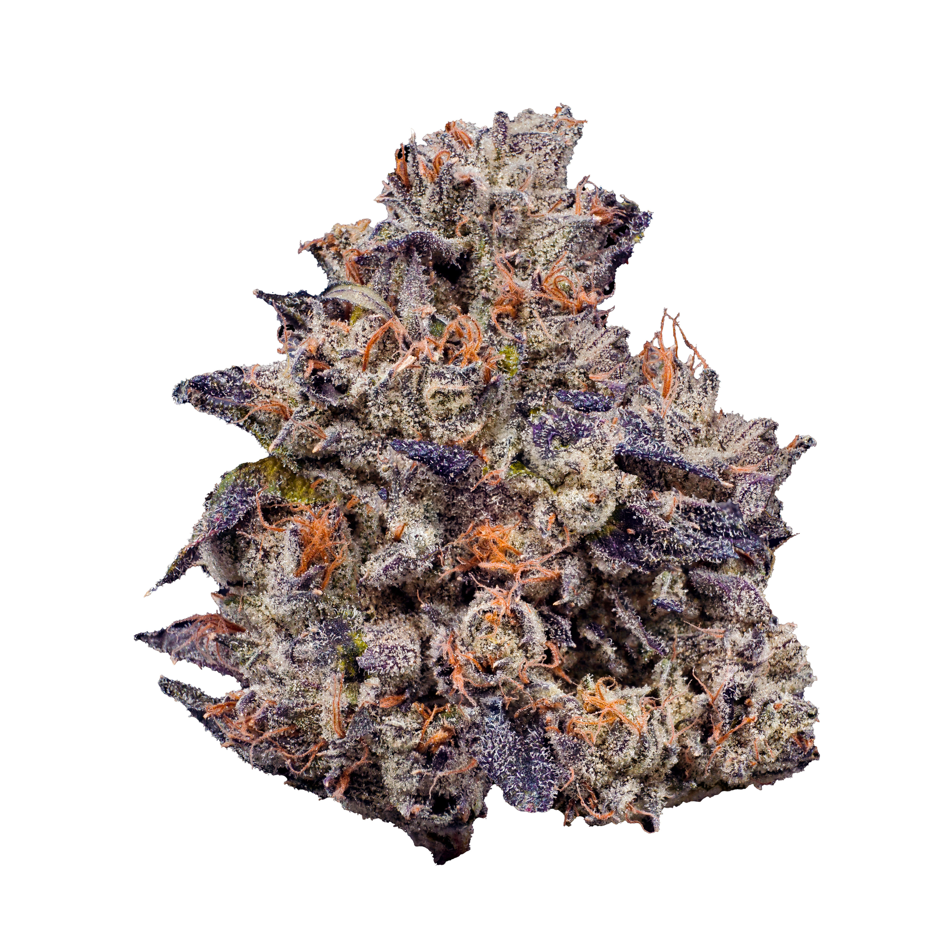 Lemon Cherry Gelato - Fig Farms - Eighth - $50 - Flowers