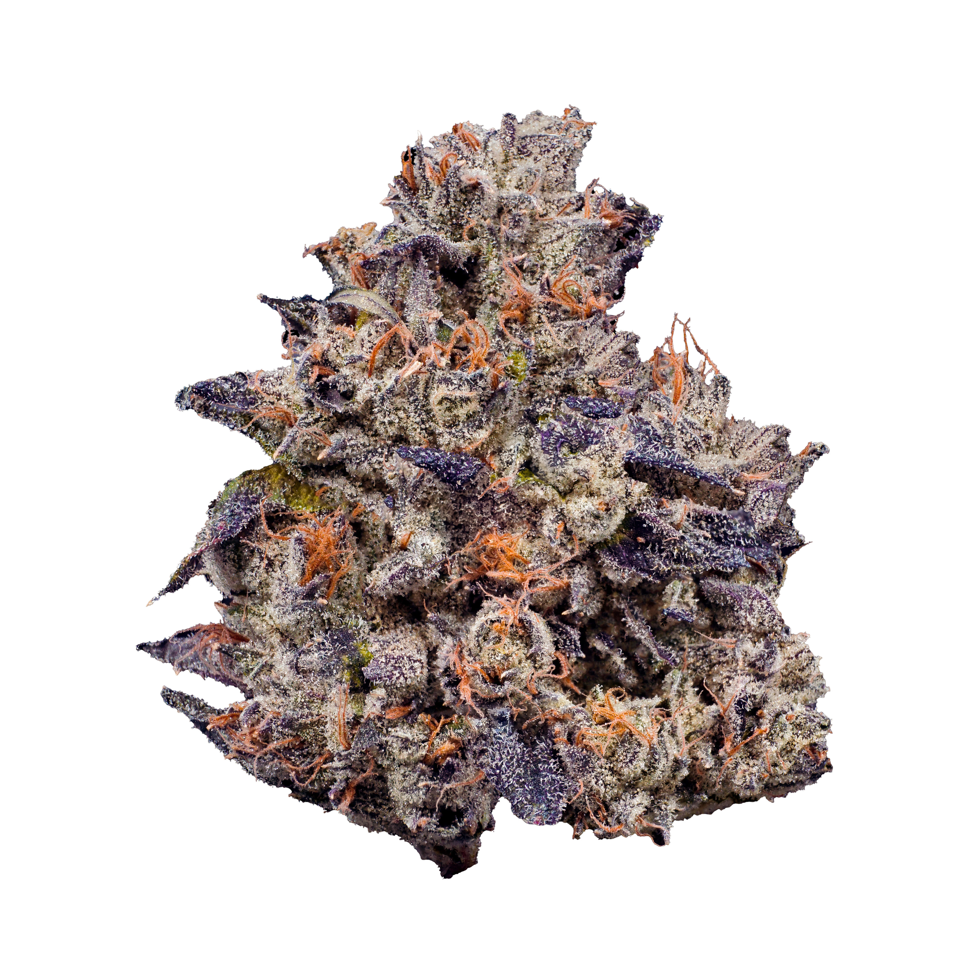 Lemon Cherry Gelato - Fig Farms - Eighth - $50 - Flowers