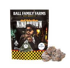 4G NINO BROWN - Ball Family Farms -  - $45.05 - Flowers