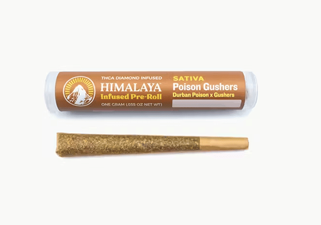 Poison Gushers - Infused Pre-Roll (1g)