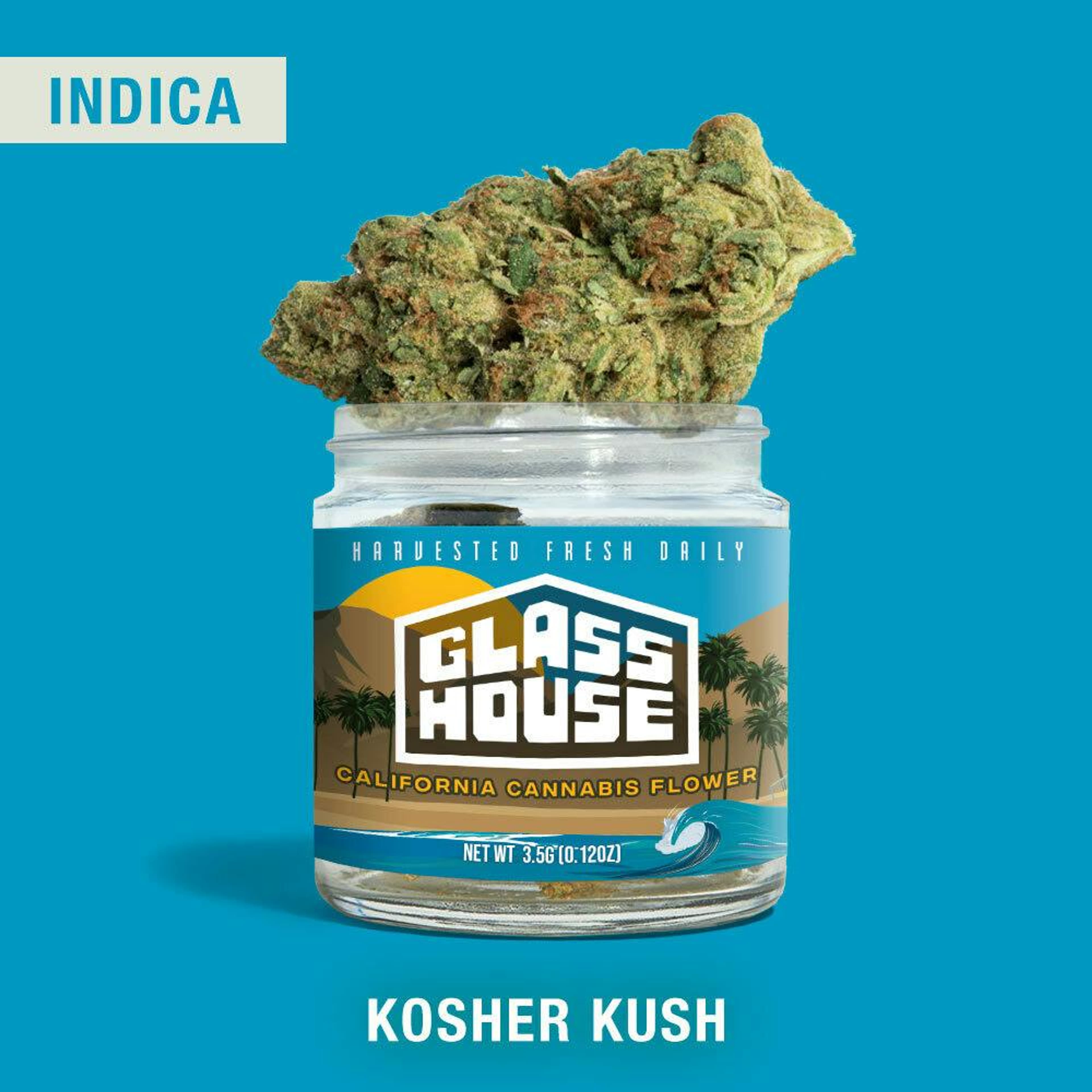 Kosher Kush - Jar - Flower - Glass House Farms - Eighth - $29.99 - Flower