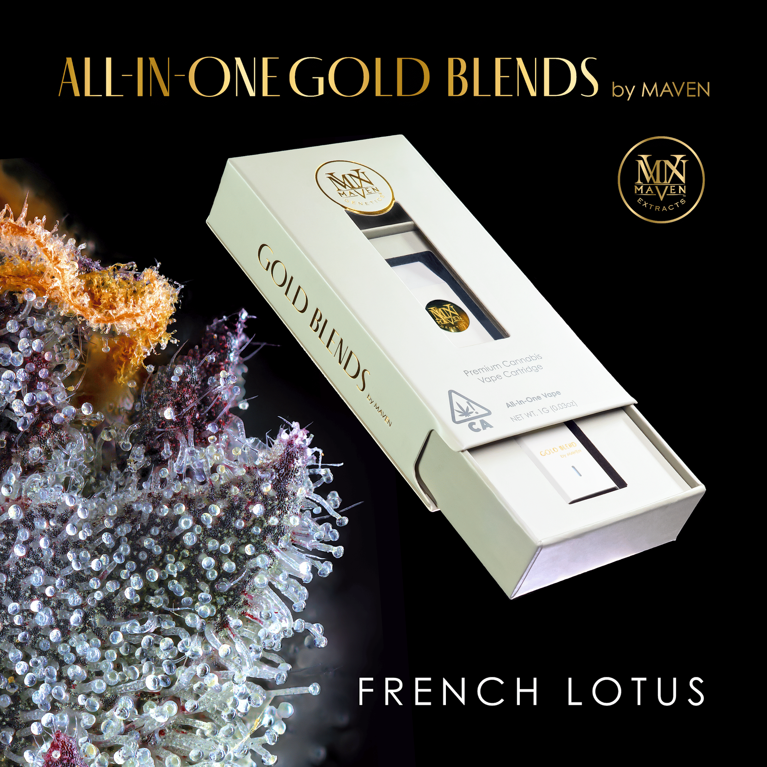 French Lotus Gold Blend - 1g Disposable - Maven Genetics - 1g Dispo - Hybrid - $27 - All-In-One (Disposables)