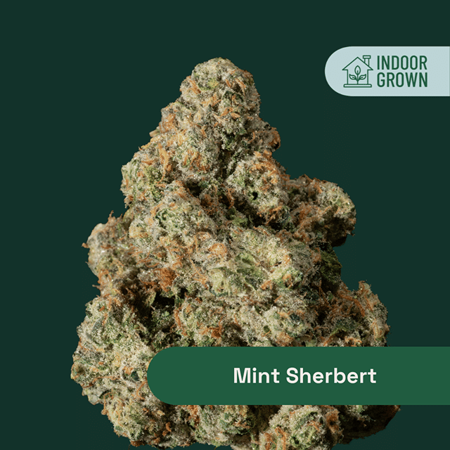 Mint Sherbert