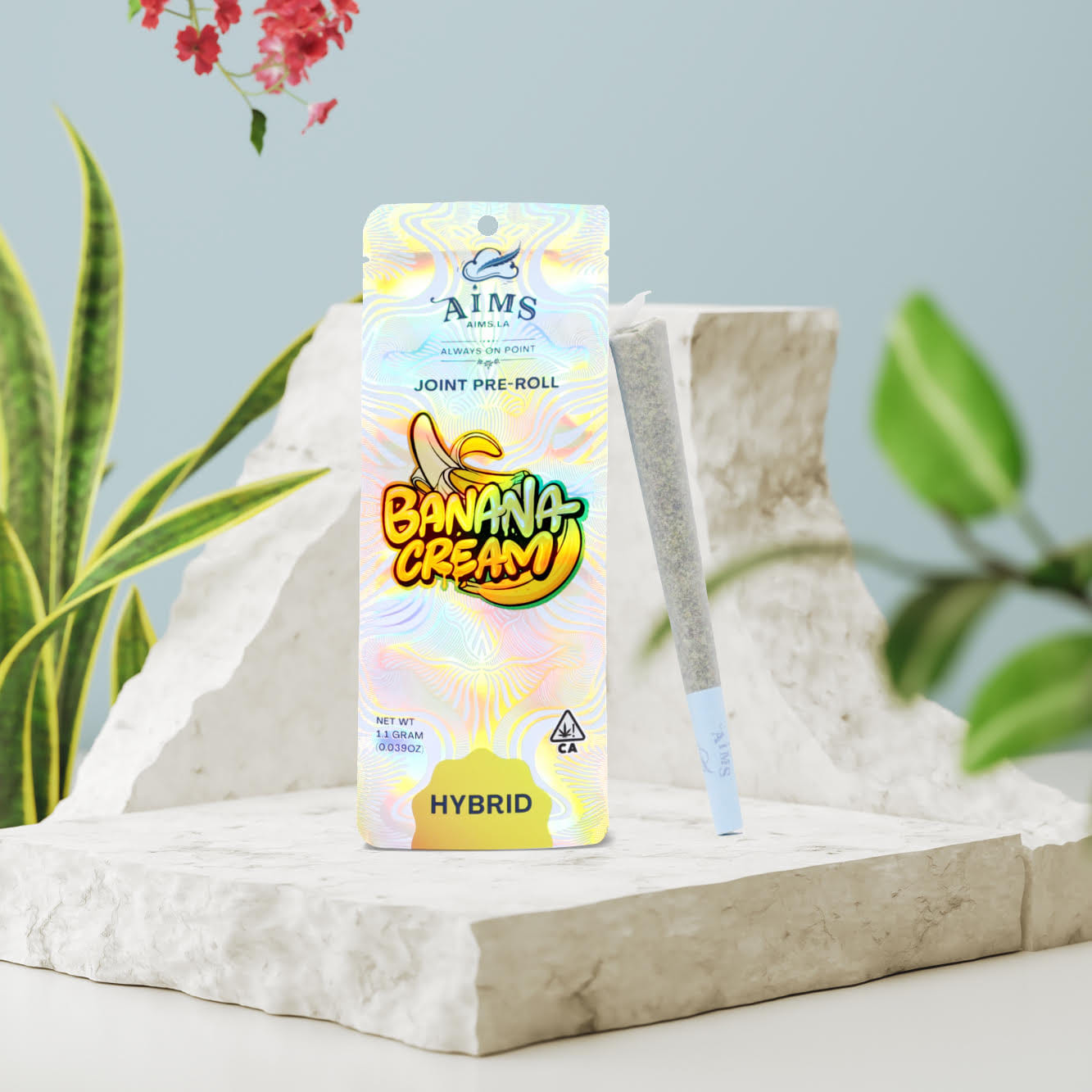 AIMS: Banana Cream - 1g Pre Roll - AIMS -  - $8 - Pre-Rolls