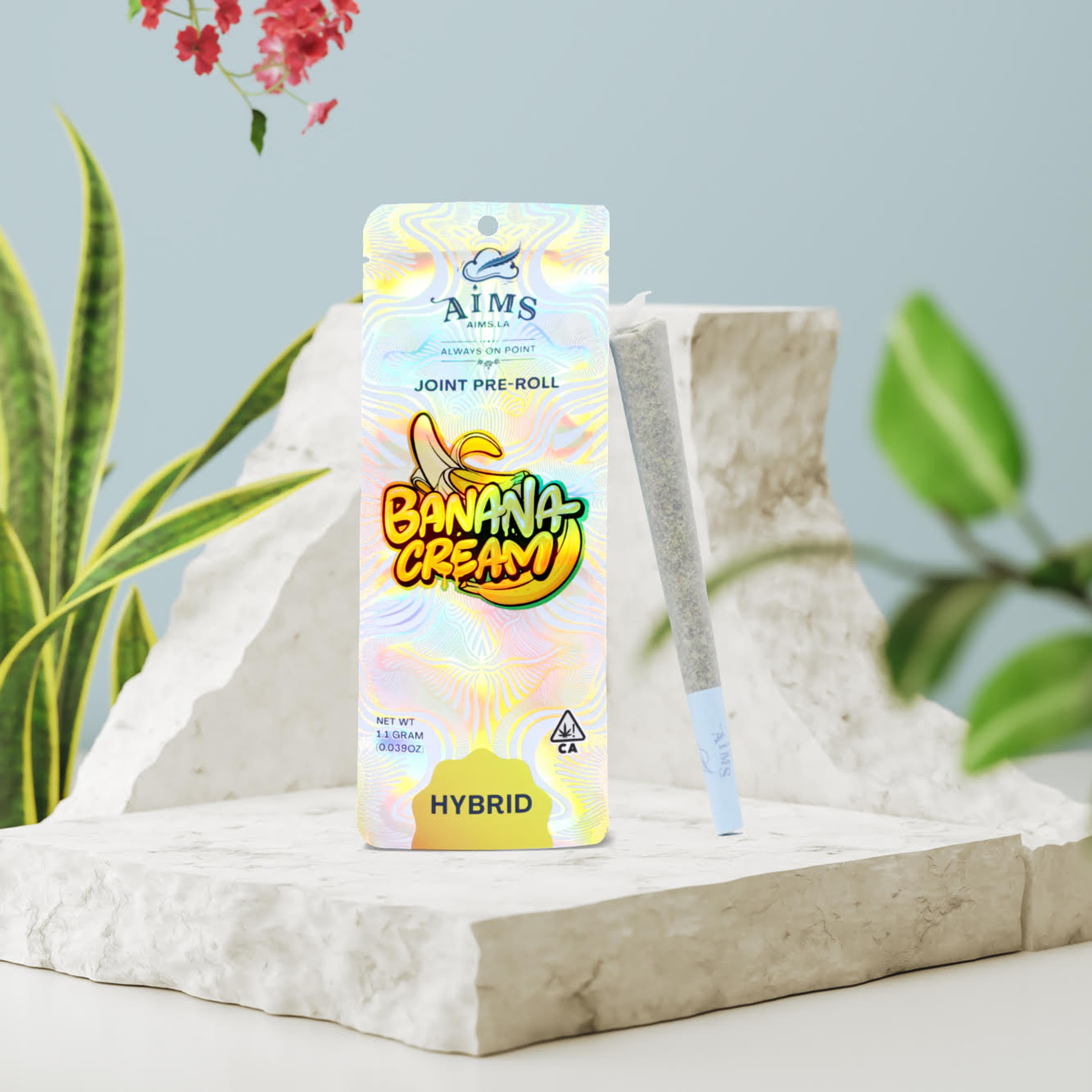 AIMS: Banana Cream - 1g Pre Roll - AIMS - - $8 - Pre-Rolls