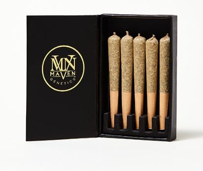 Orange Bellini 5 Pack Pre-Rolls - Maven Genetics - 5 Pack - $35 - Pre-Rolls