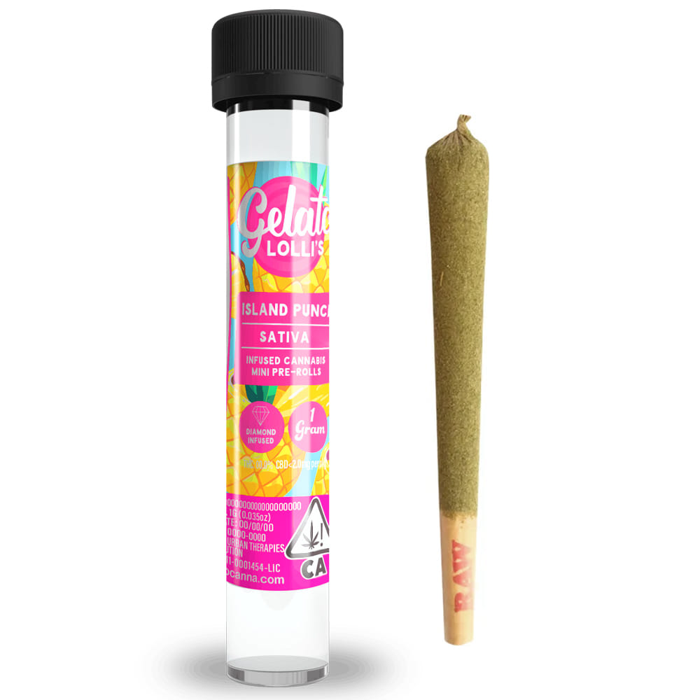 Island Punch (S) 1.2g Infused Preroll *B2G1 EVERYDAY* - Gelato Canna Co. - Island Punch (S) - $14 - Pre-Rolls
