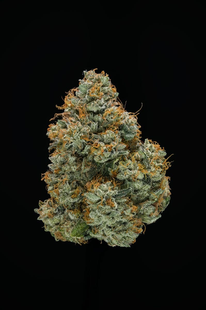 AREA 54 // PREMIUM INDOOR BIGS - 3.5g - AETHER FIELDS -  - $43.22 - Flowers