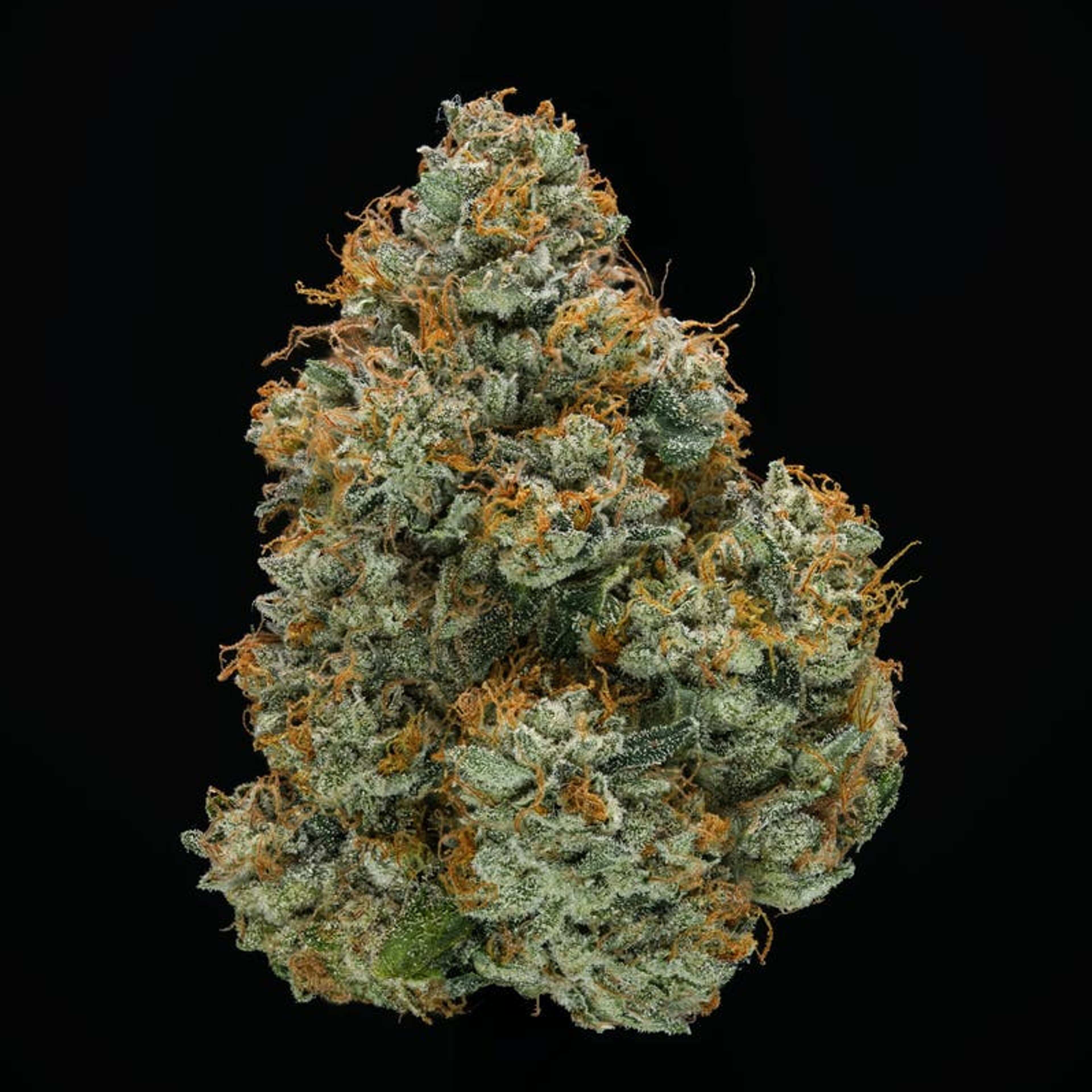 AREA 54 // PREMIUM INDOOR BIGS - 3.5g - AETHER FIELDS - - $43.22 - Flowers