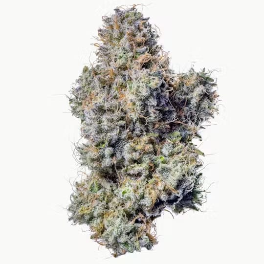 Senpai - Fig Farms - Eighth - $50 - Flowers