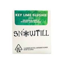 Snowtill - Key Lime Slushie (Living Soil) - 3.5g *Speical Pricing* - Snowtill -  - $44.98 - Indoor Flowers