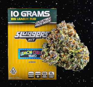 Lemon Cherry Gelato 10g - Sluggers - 10g - $65 - Flowers