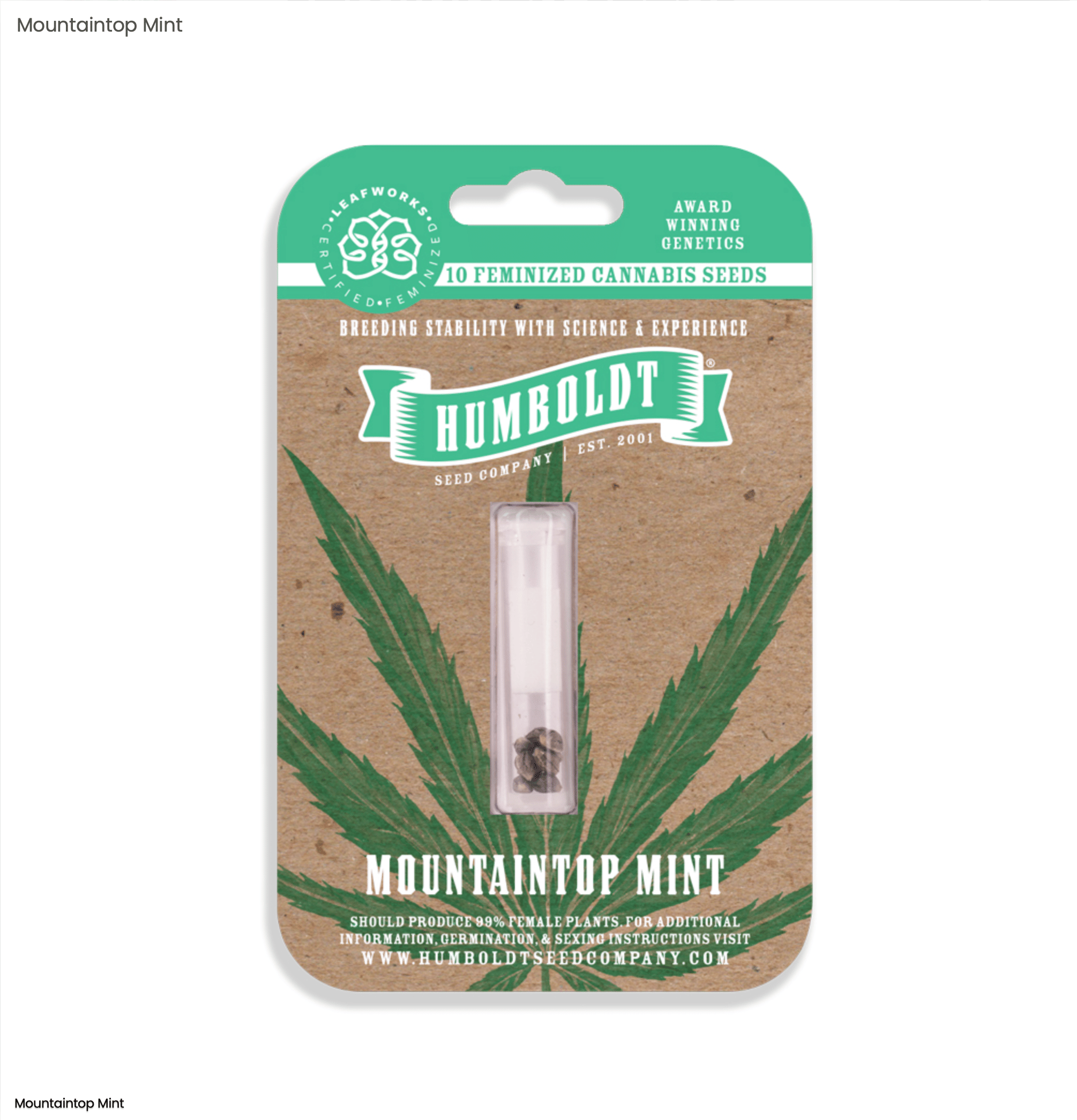 Mountaintop Mint - 10pk Feminized Seeds - Humboldt Seed Company - Fem Seed - Hybrid - $100 - Seeds