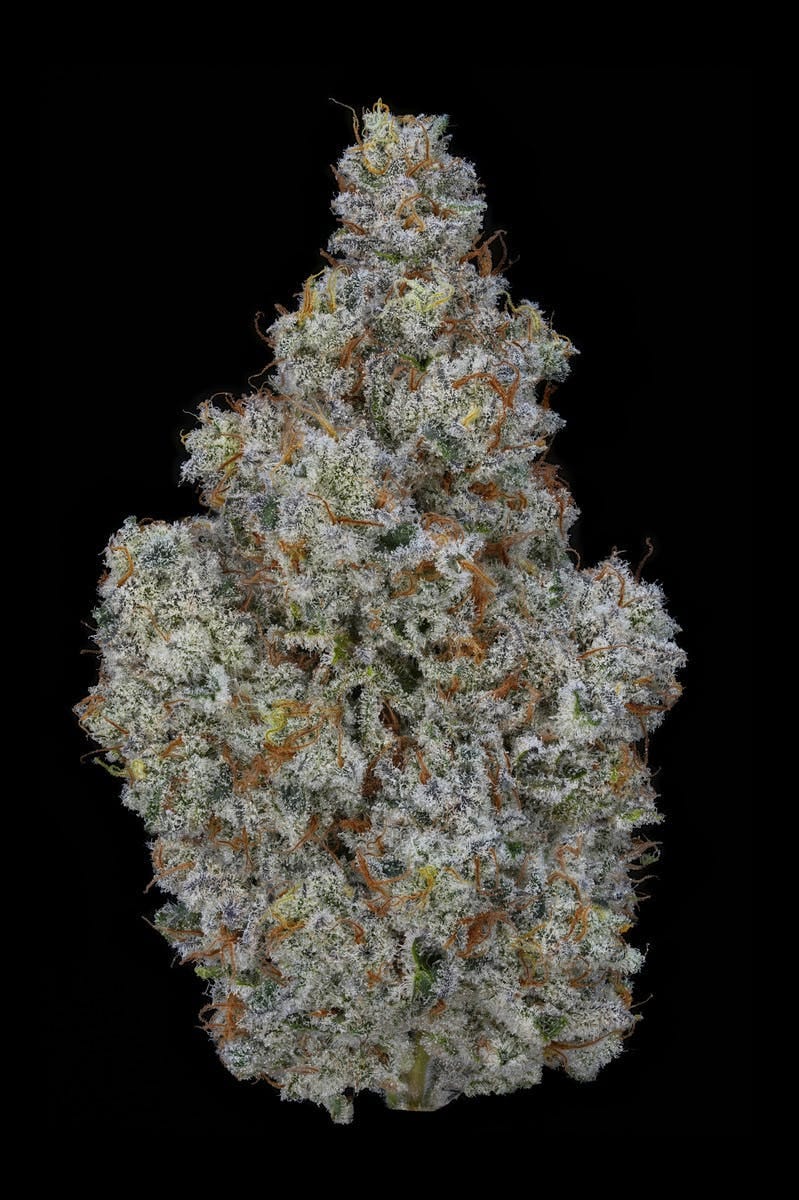 MINTERSTELLAR COOKIES // PREMIUM INDOOR BIGS - 3.5g - AETHER FIELDS -  - $43.22 - Flowers