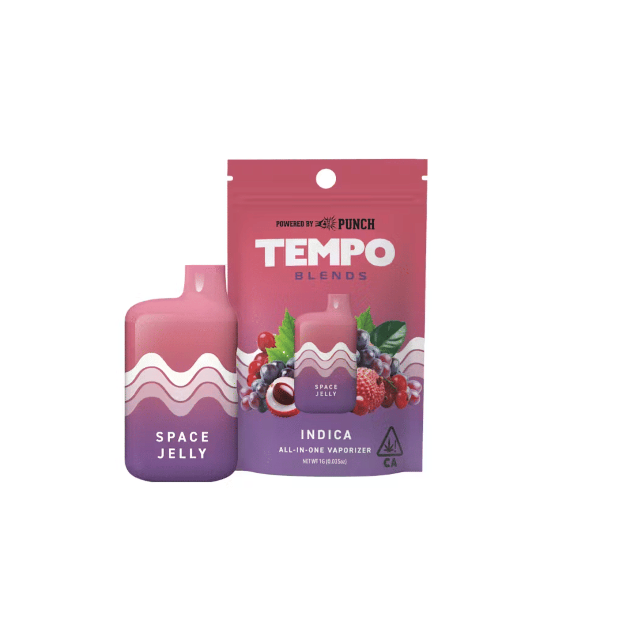 TEMPO — Space Jelly