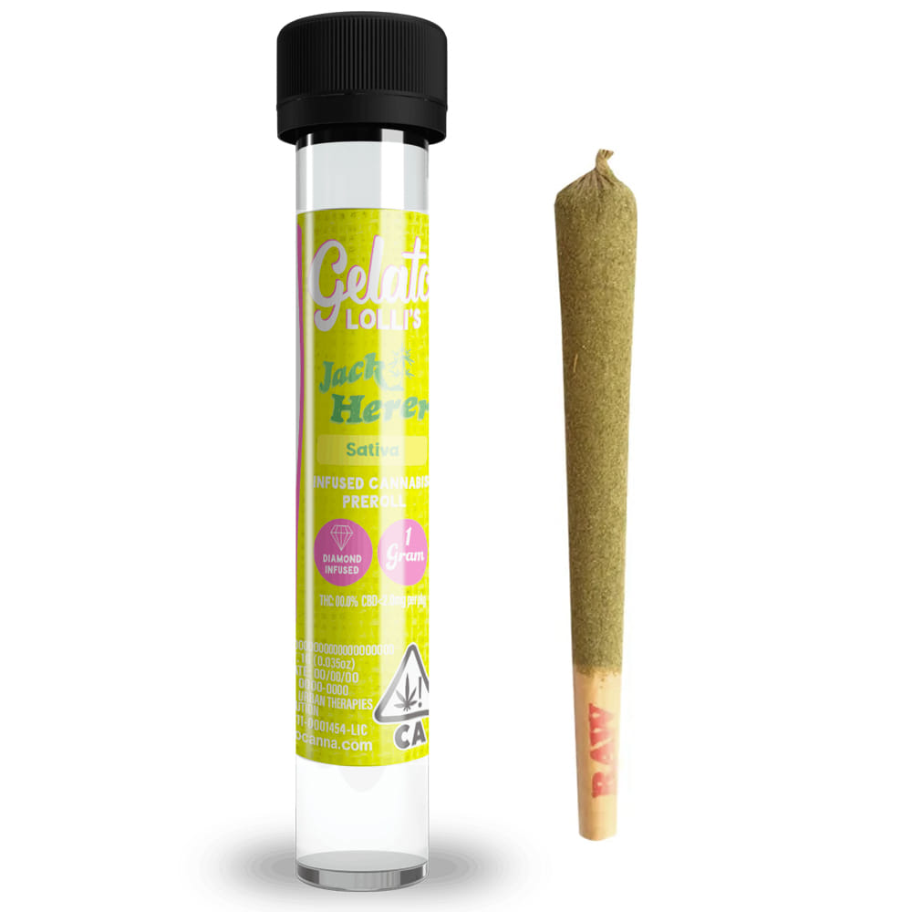 Jack Herer (S) 1.2g Infused Preroll *B2G1 EVERYDAY* - Gelato Canna Co. - Jack Herer (S) - $14 - Pre-Rolls