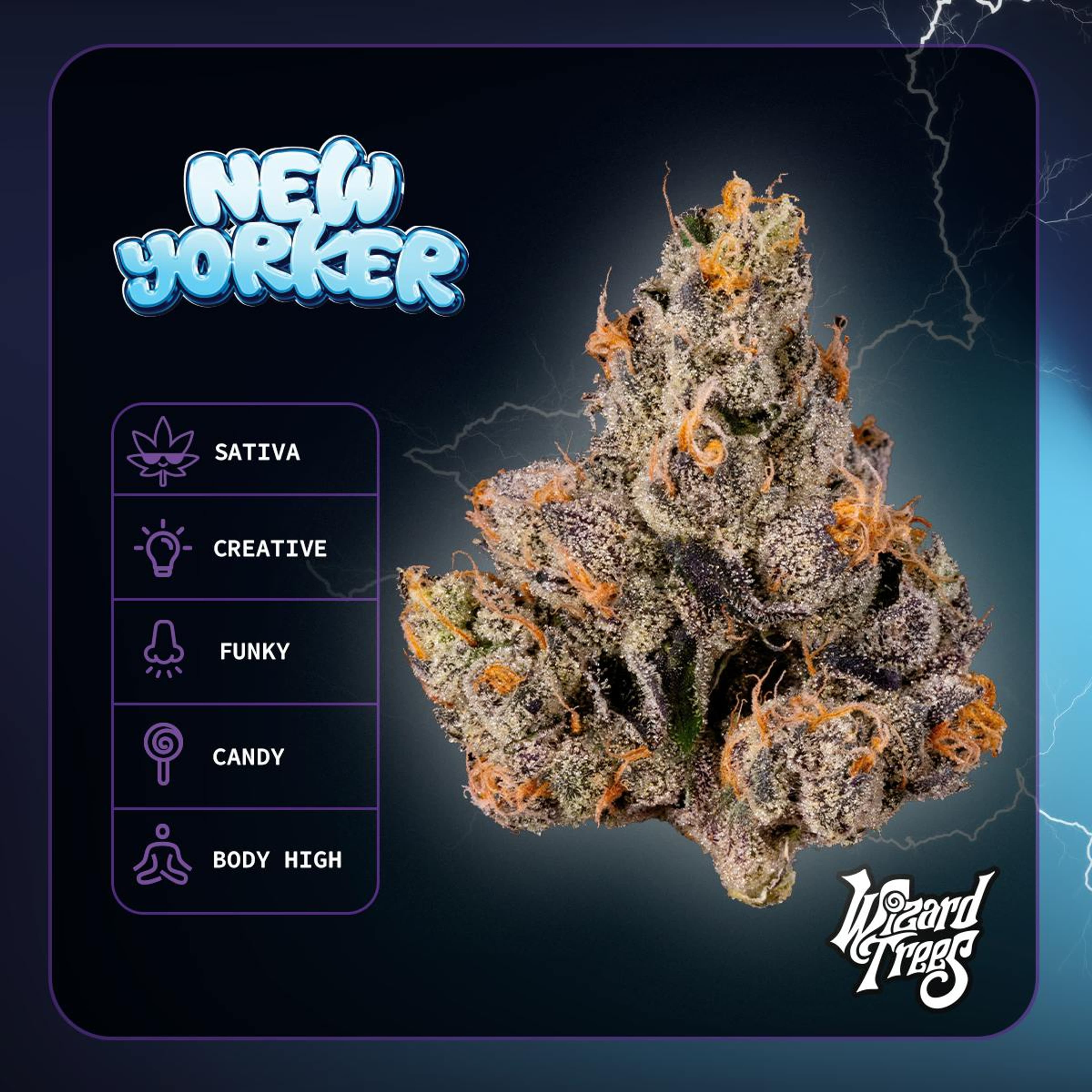 New Yorker 34.06% - 3.5G *SPECIAL PRICING* - Wizard Tree - New Yorker (H) - $51 - Flower