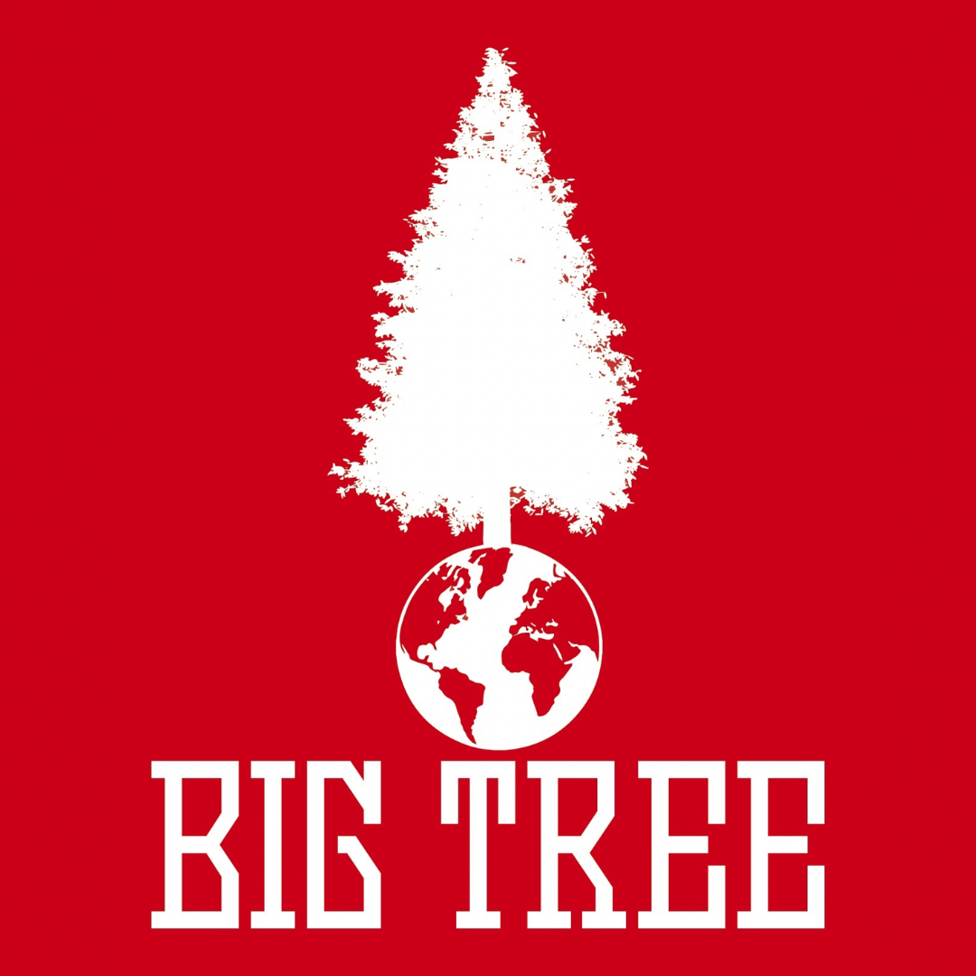 MELLOW FELLOW 14G - BIG TREE -  - $32.25 - Flowers