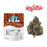 Oakfruitland 7G - Oakfruitland - Beach Break - $54.99 - Pre-Packaged Flowers