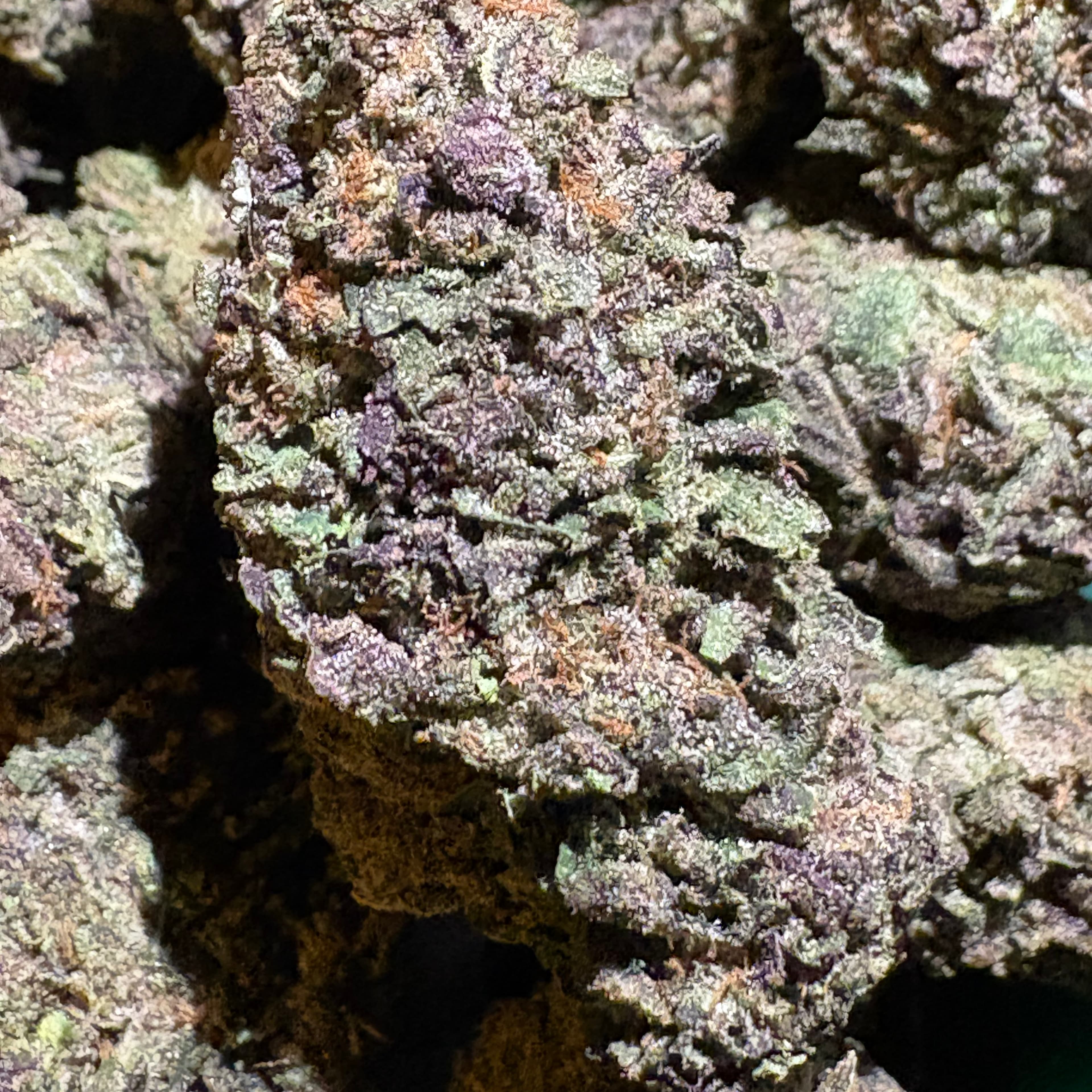 $60 Purple Cherry Gelato 33% THC (Premium) - Sum Good - - $60 - Flowers