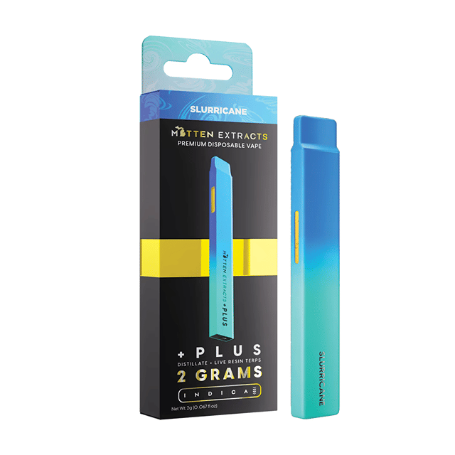 +Plus Disposable 2g - Slurricane