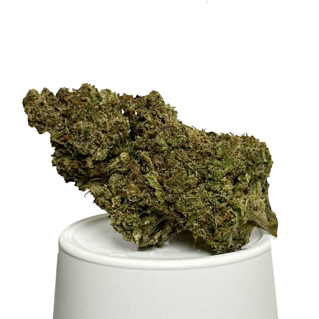 Green Earth Co. — Tropical Gelato