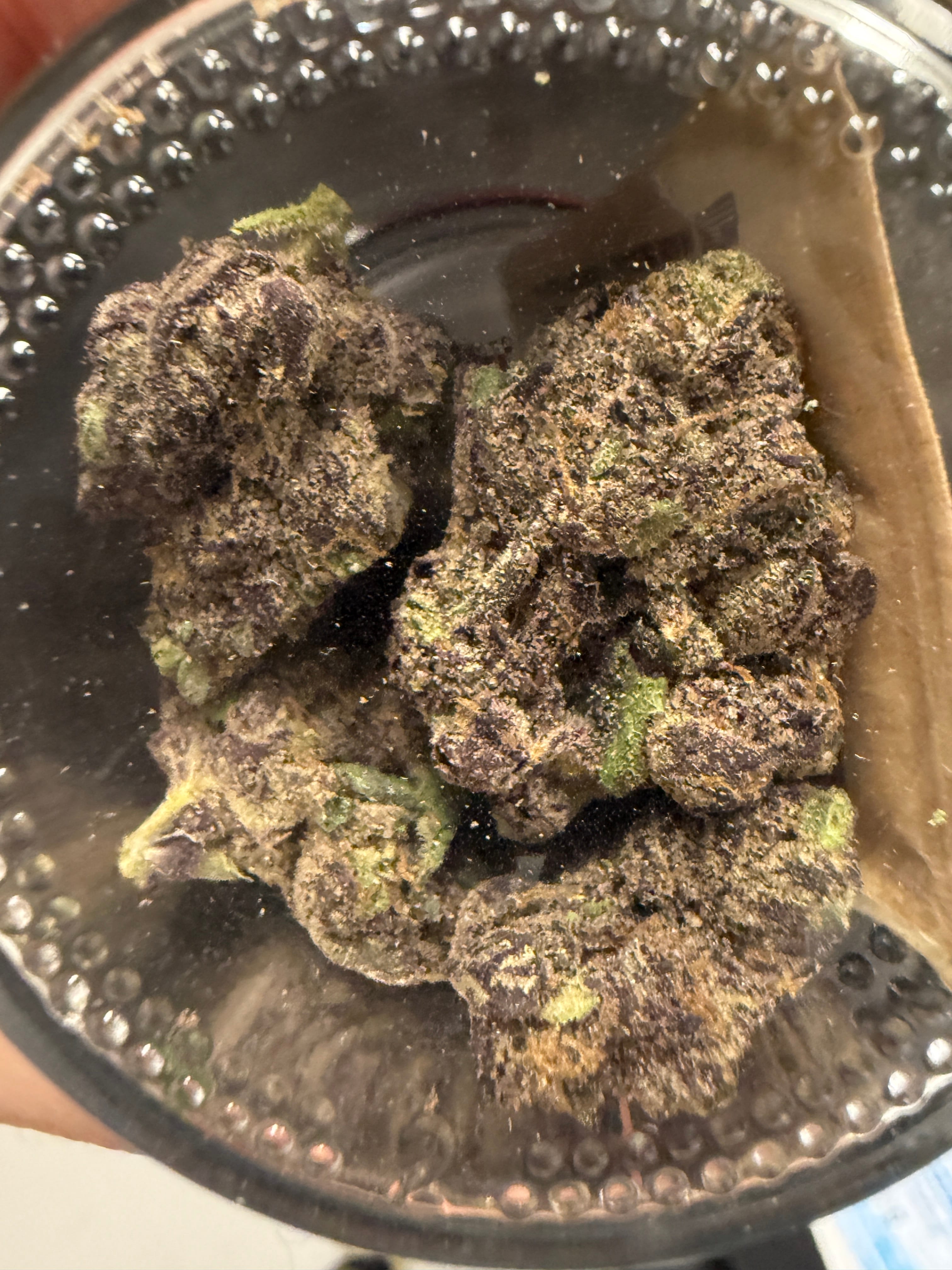 *Local* High Sierra: Mammoth Purpz - Indoor 3.5g - High Sierra -  - $55 - Indoor Flower
