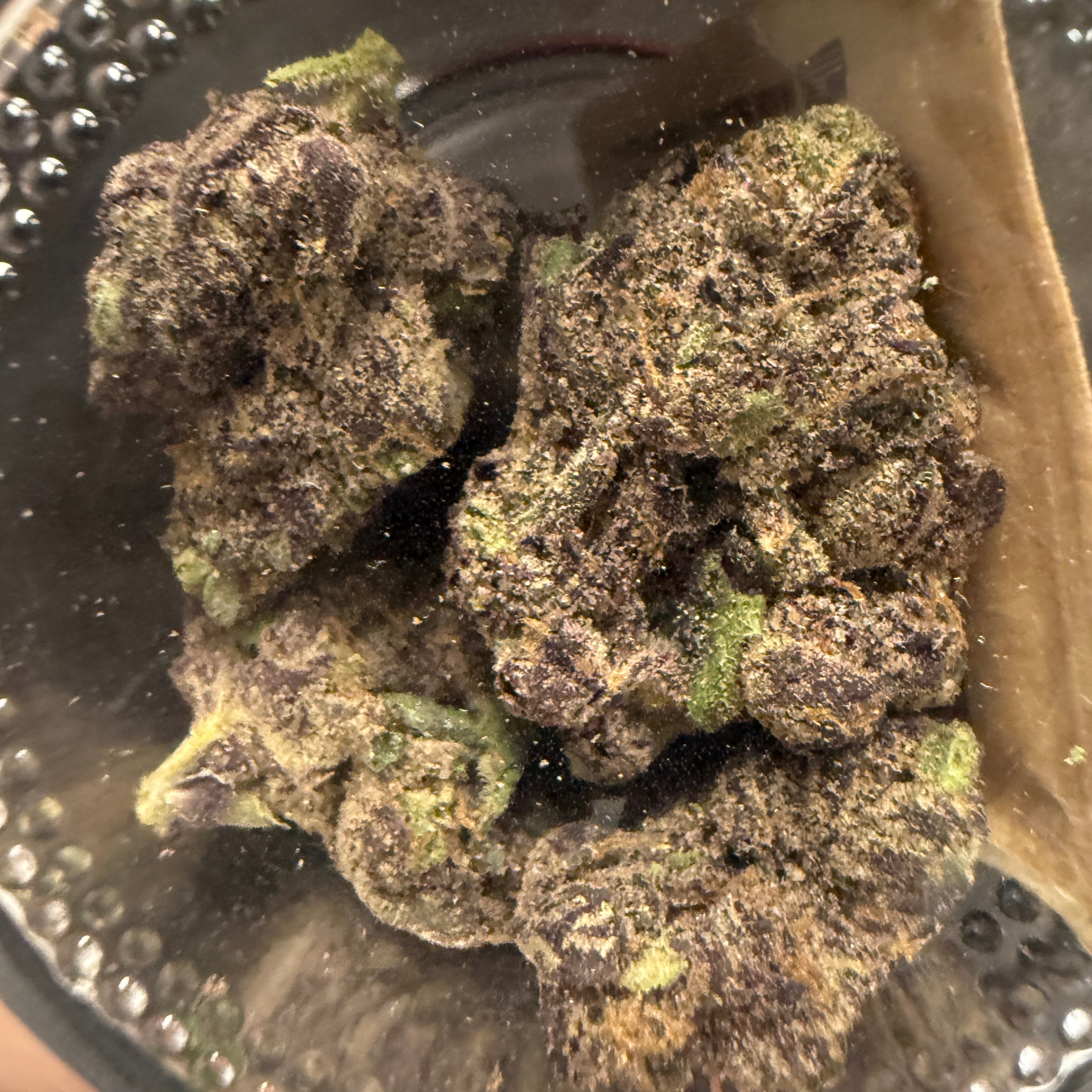 *Local* High Sierra: Mammoth Purpz - Indoor 3.5g - High Sierra - - $55 - Indoor Flower
