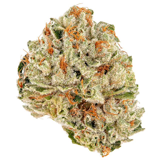 Strawberry Fields
