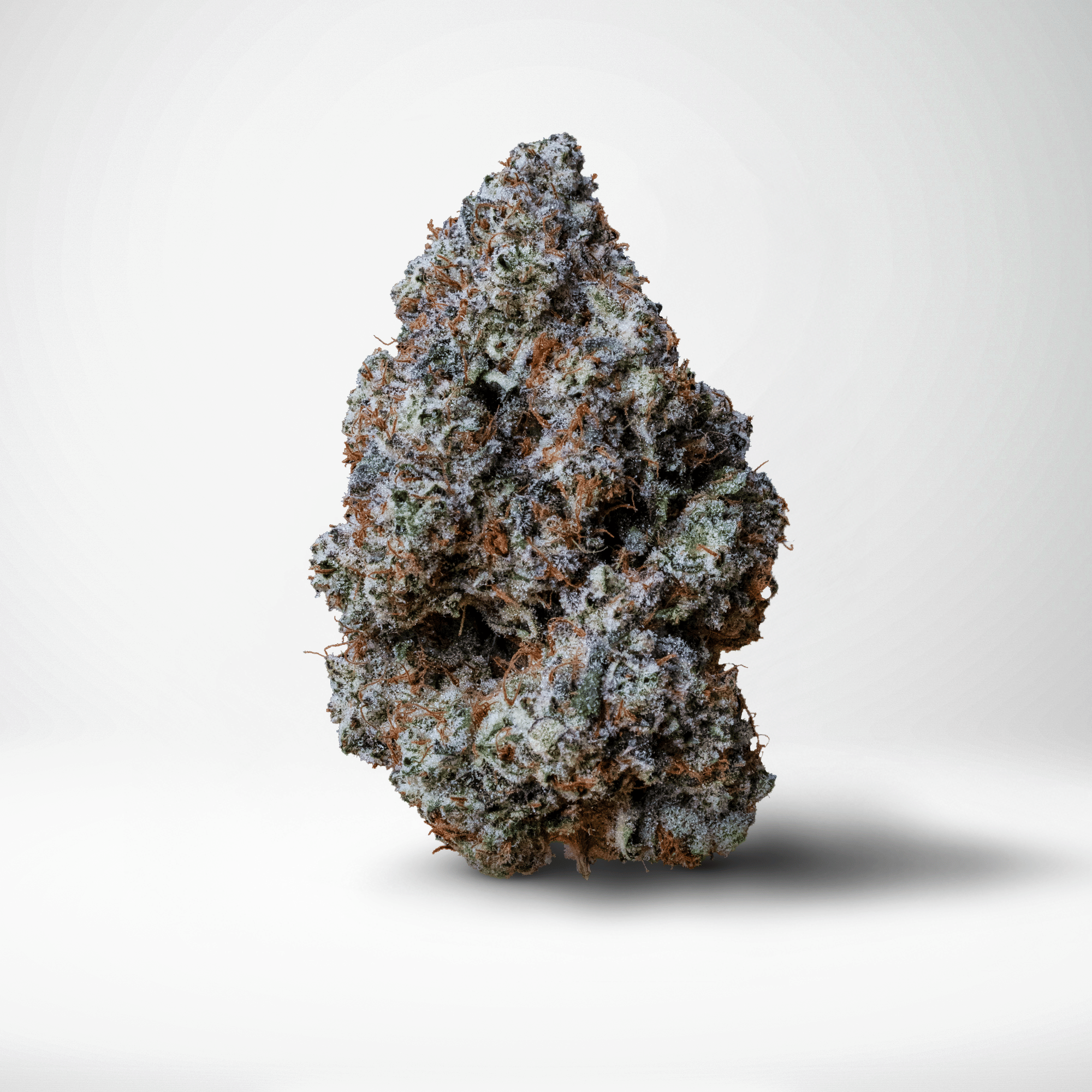 Baby Rattler - Wood Wide - Eighth - $60 - Flowers