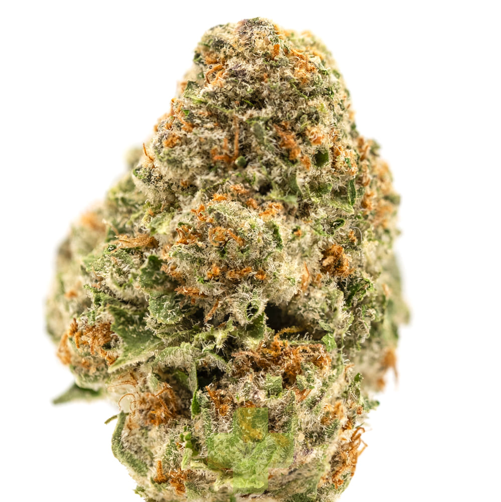 Humo — Dosidos, Gh