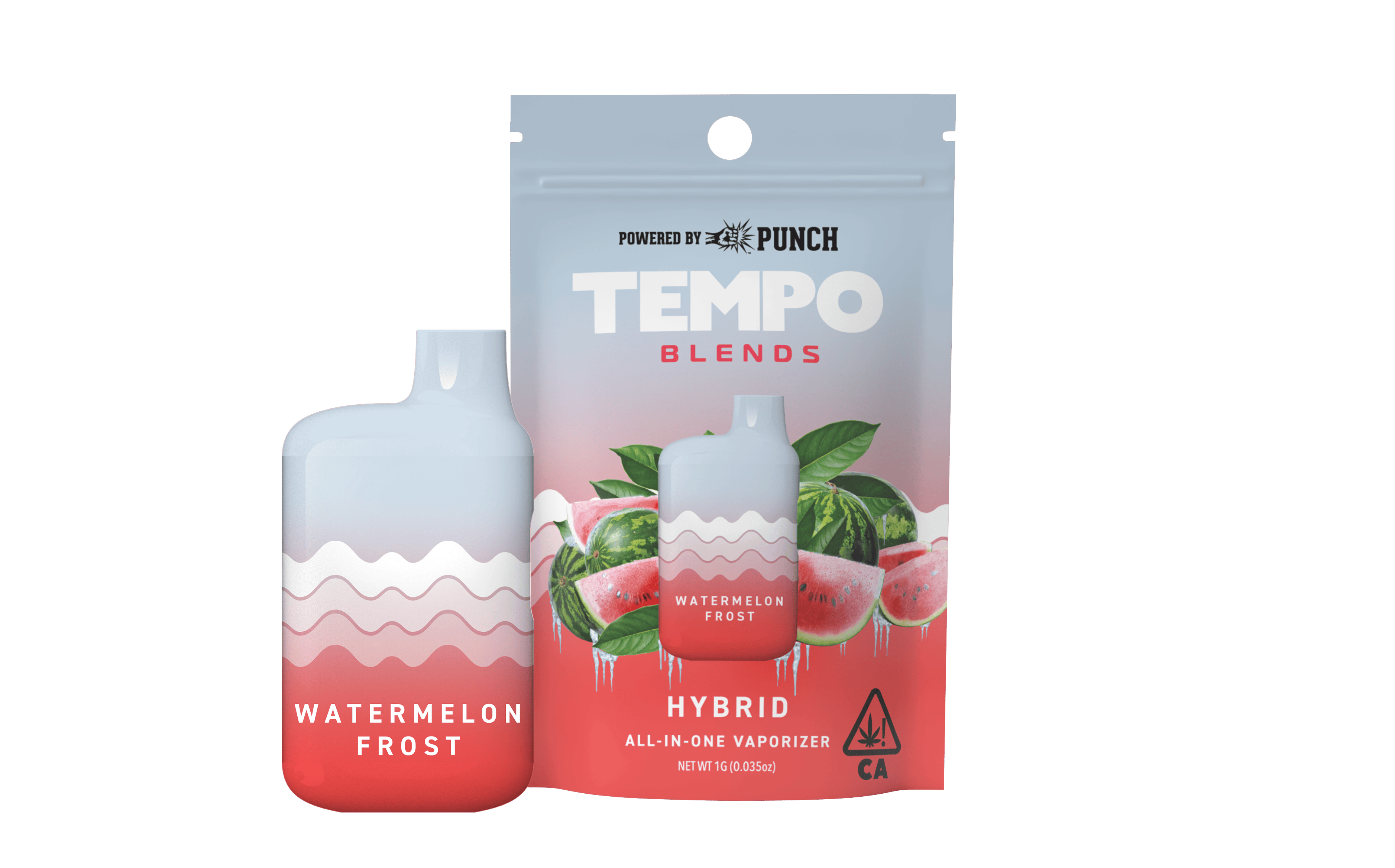 Watermelon Frost (H) AIO - 1g *B2G1 EVERYDAY* - Tempo - Watermelon Frost (H) - $24.75 - Cartridges