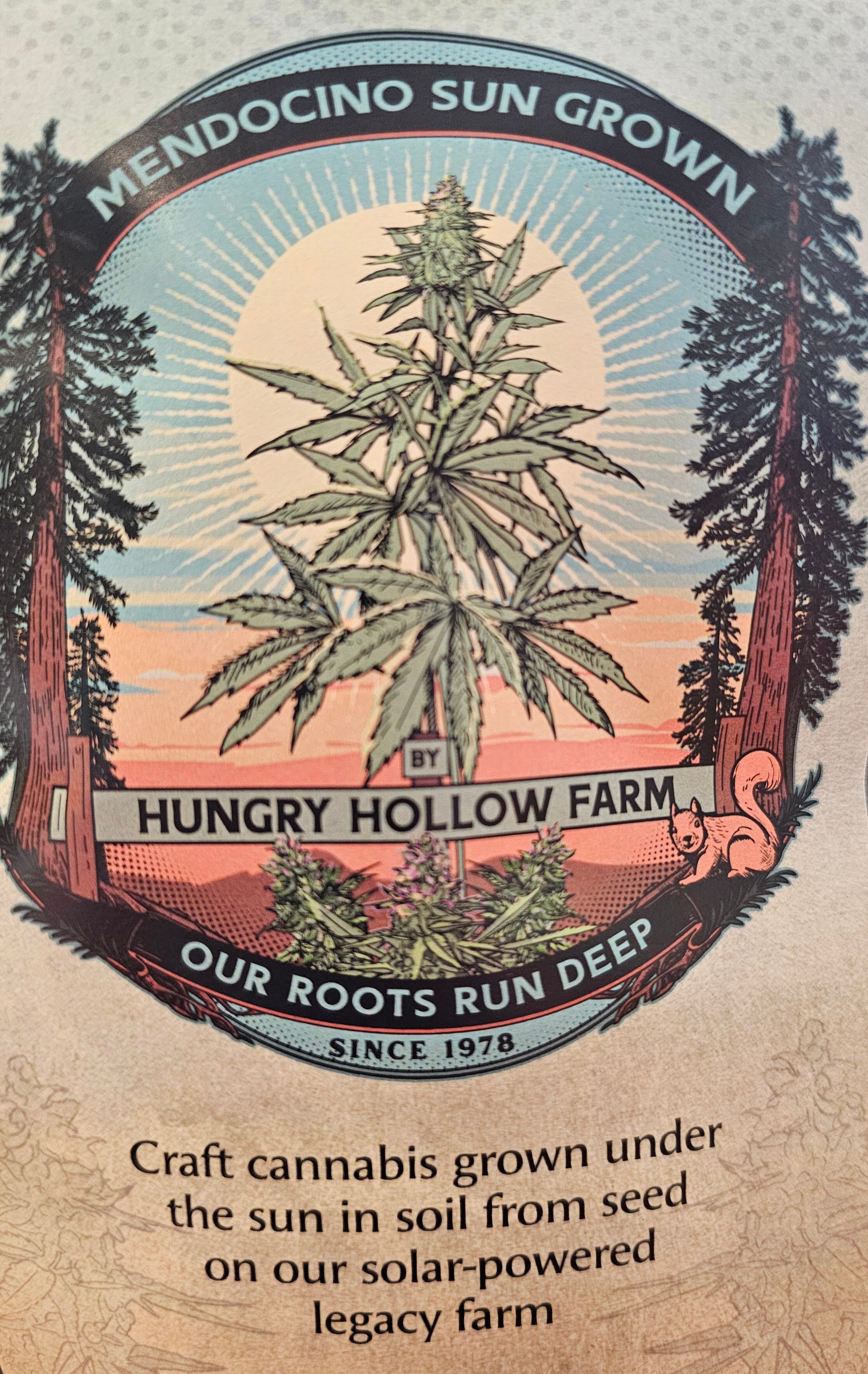 Lava Gelato - Hungry Hollow Farm - eighth - $22 - Flowers