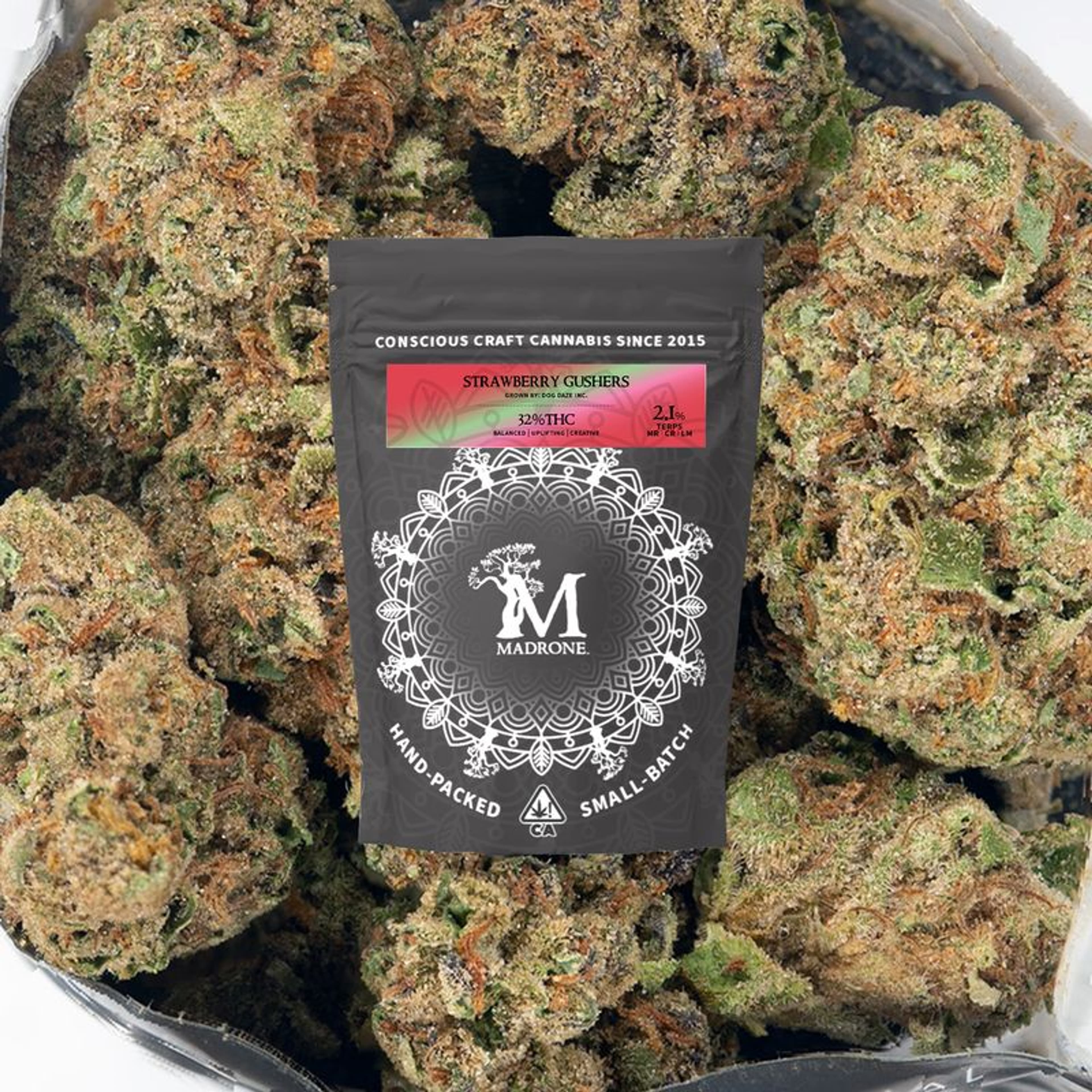 Strawberry Gushers - Madrone - eighth - $25 - Flowers