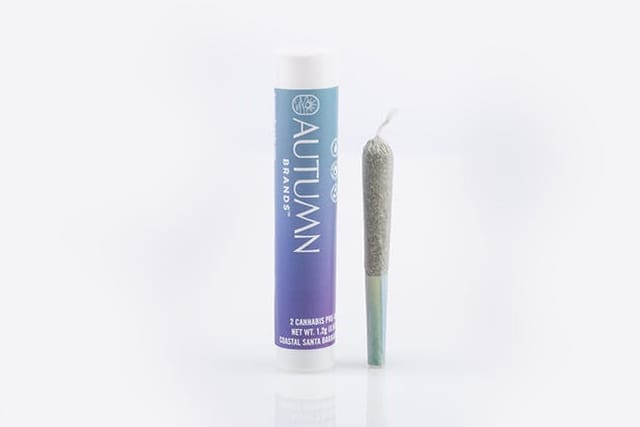 Autumn Brands — Sweet Zzzs