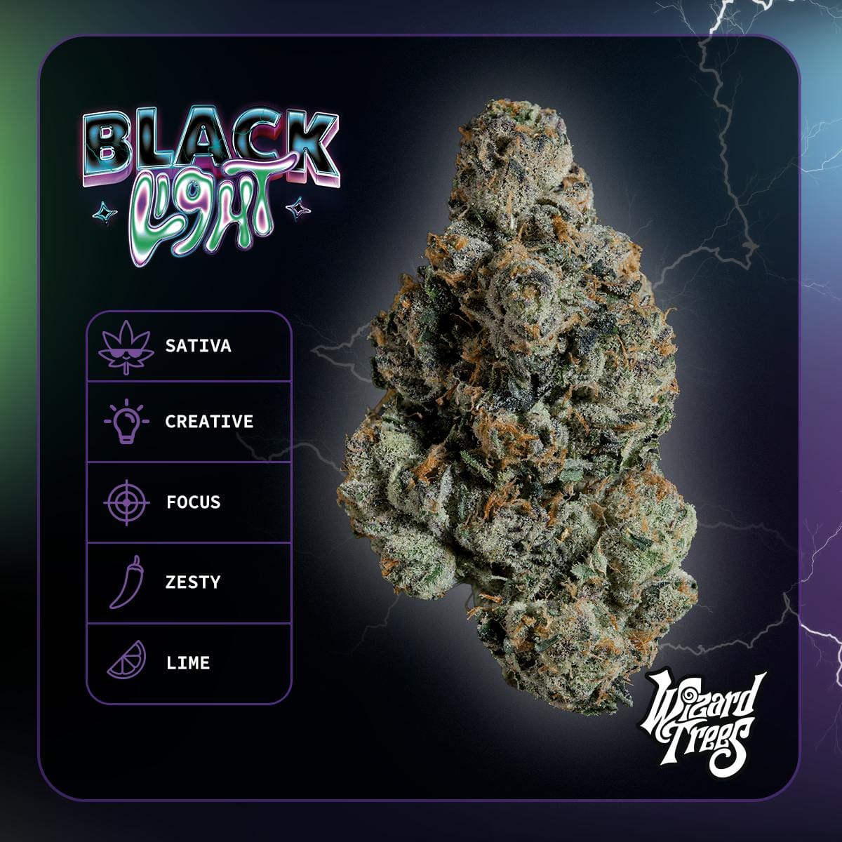 WIZARD TREES: Black Light