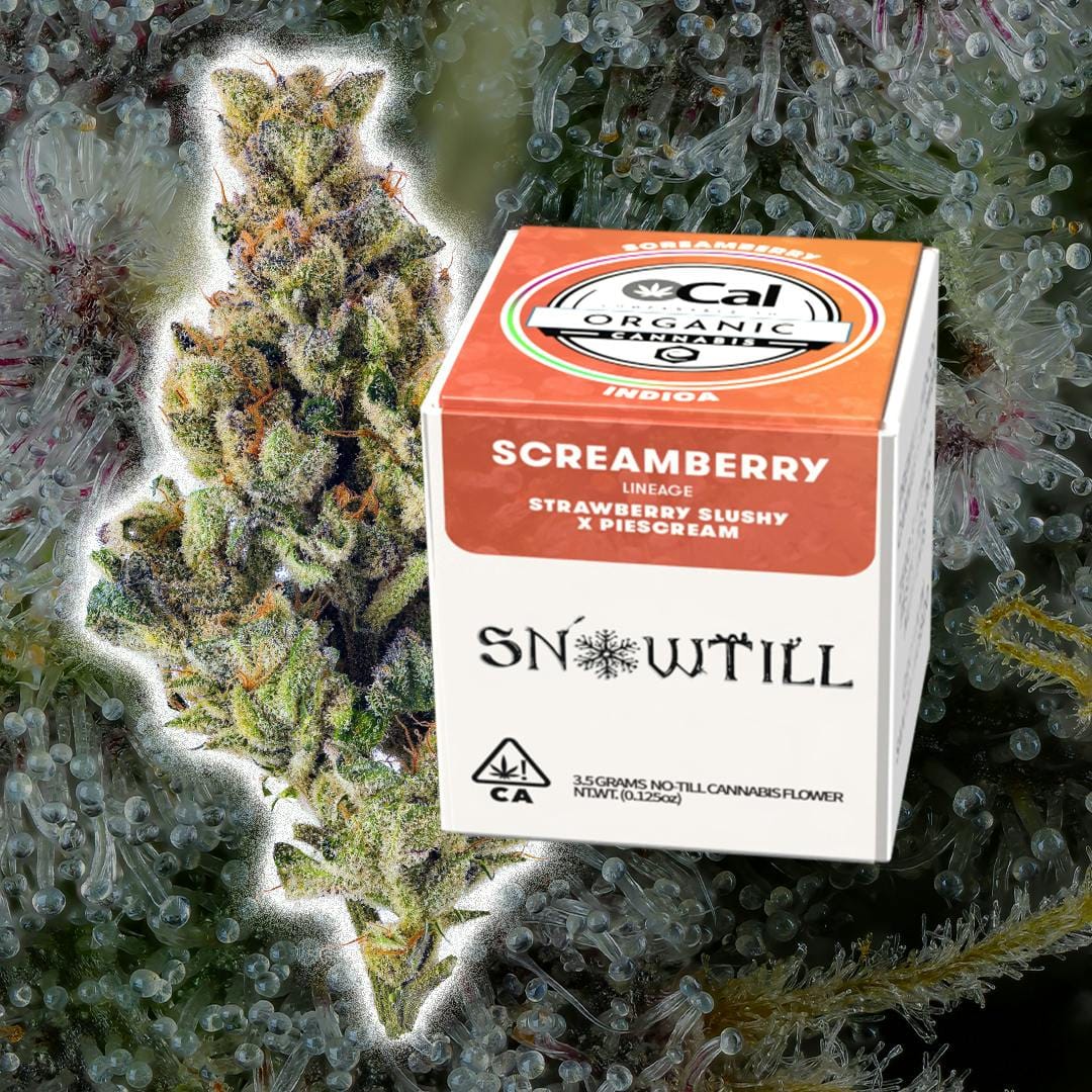 Snowtill: SCREAMBERRY - 3.5G JAR |