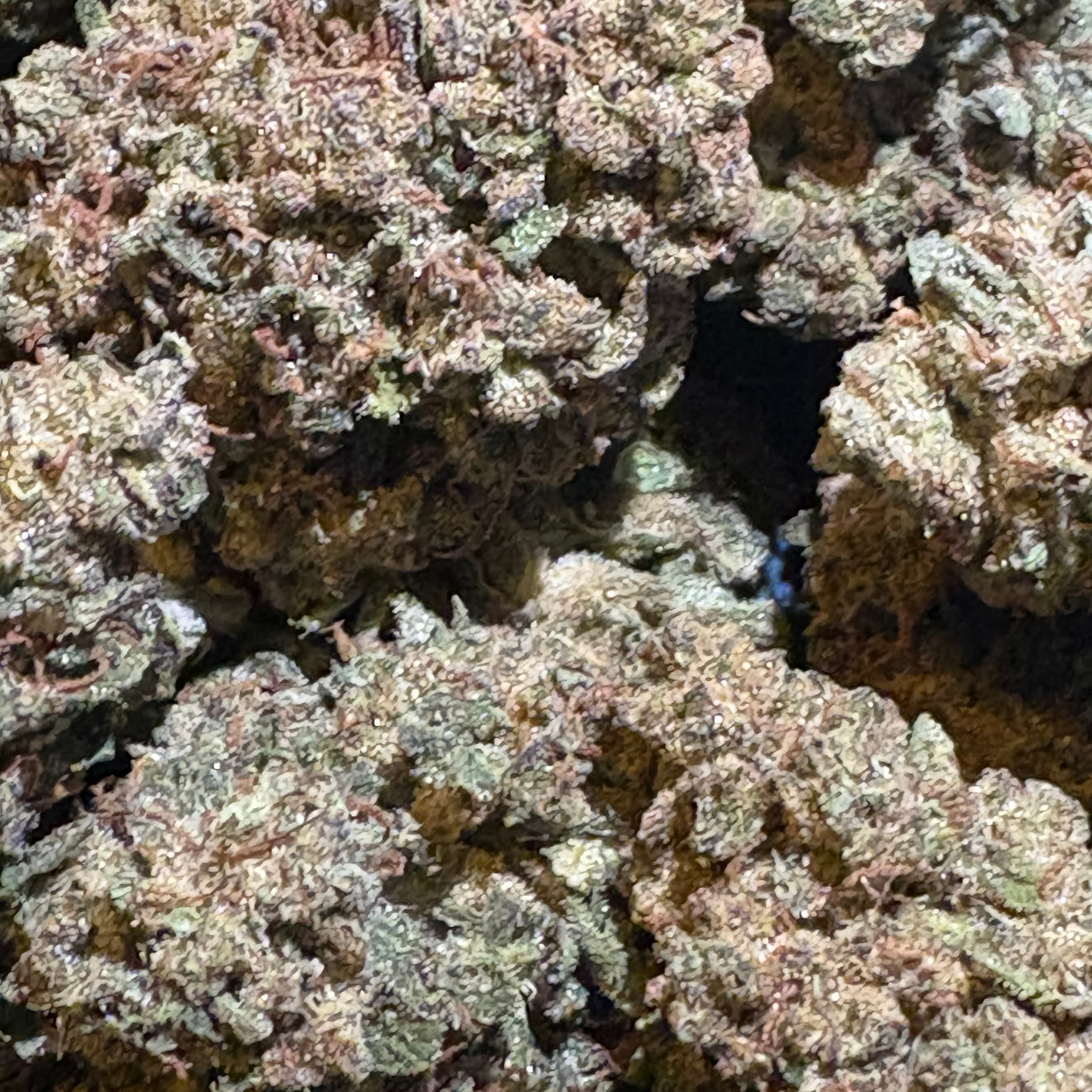$60 Banana OG 1oz (AAA-Grade) - 32% THC - Sum Good - - $60 - Flowers