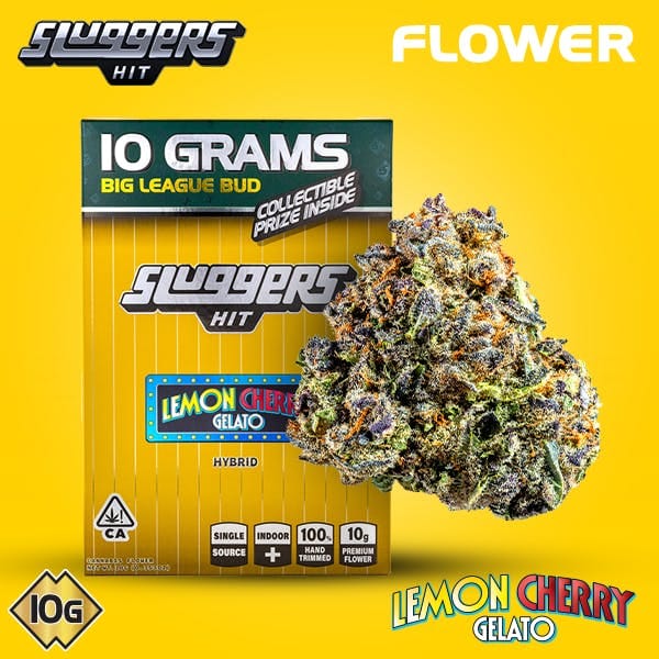 Lemon Cherry Gelato | 10g