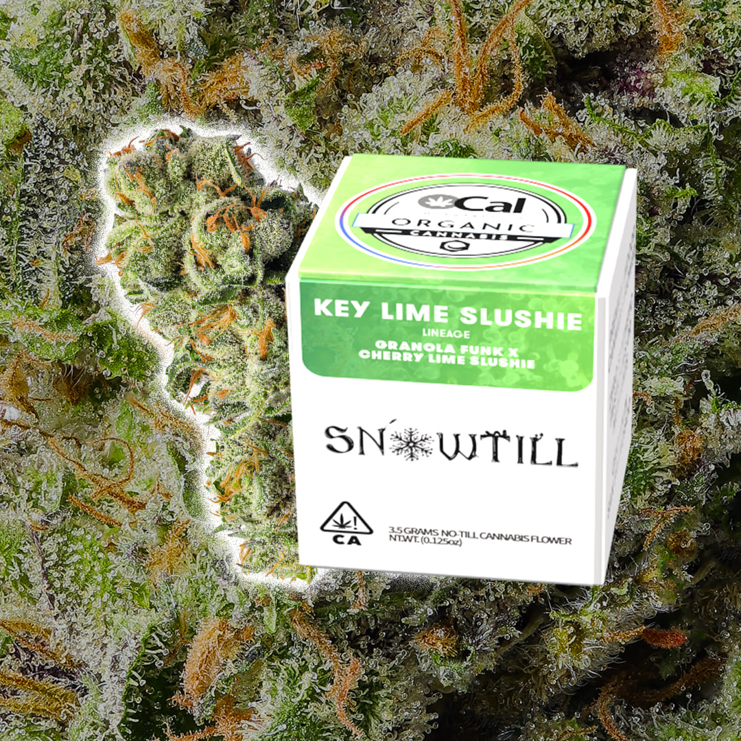 ***Keylime Slushie - 3.5g - SNOWTILL - 3.5g - Sativa - $58 - Flower/Infused Flower (3.5 Grams)