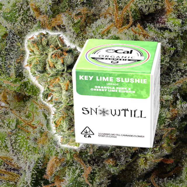 Snowtill — Keylime Slushie