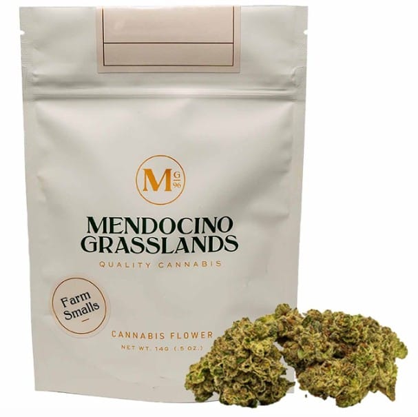 Mendocino Grasslands — Madd Fruit